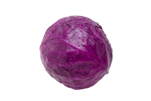 Cabbage PNG image-8820